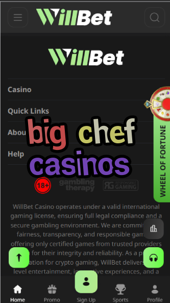 Big Chef Casinos - Cooking-Themed Casino Games-bethlehamcasino.casinoorder.vip